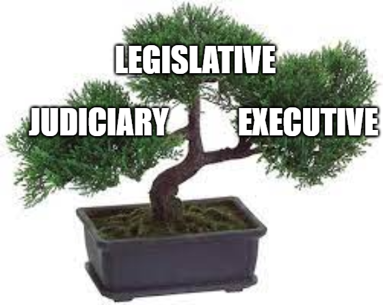 separation of power